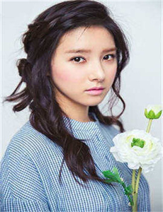 japanese 家庭version/超级搜查令全集