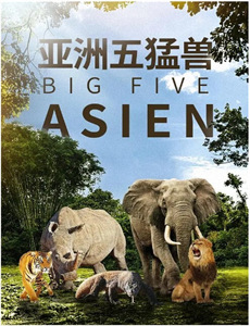 陷入困境:双重生活