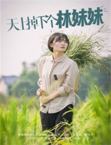 裴先生的野玫瑰