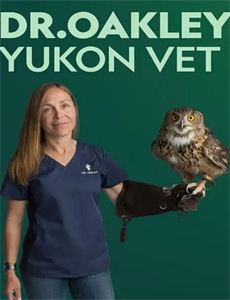 老大靠边闪2:歪打正著