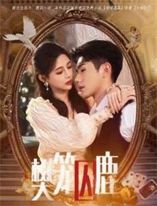 马克皮斯的经历