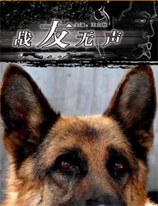 冰雪奇缘:生日惊喜