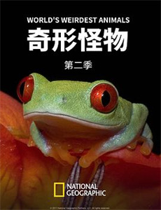 爱在旅途之反转爱情版